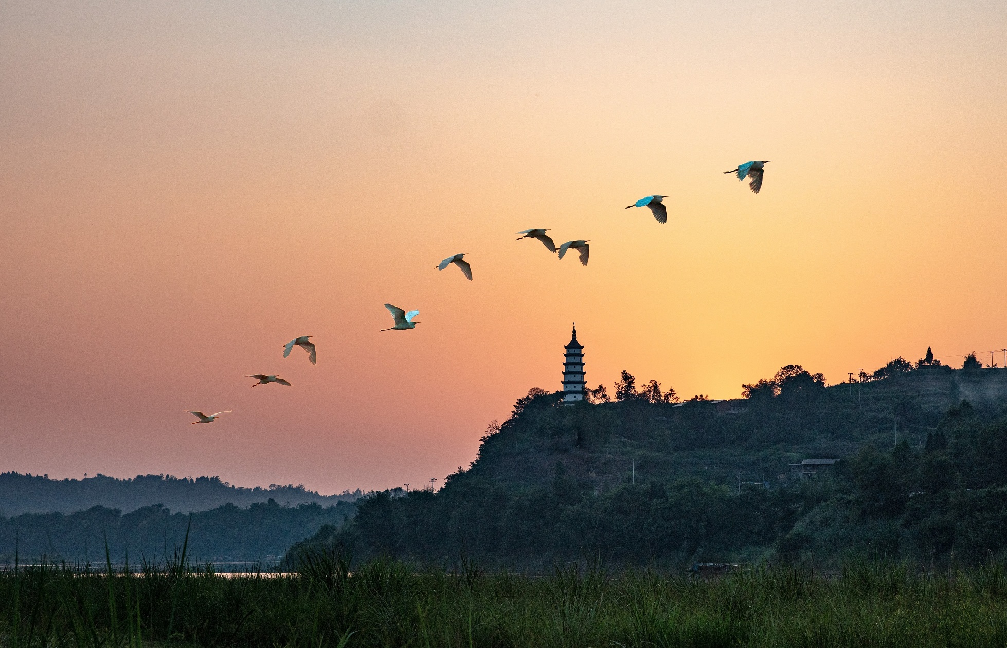 《暮归》